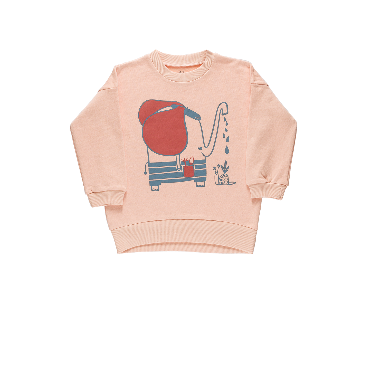 Grow Sweatshirt - Salmon