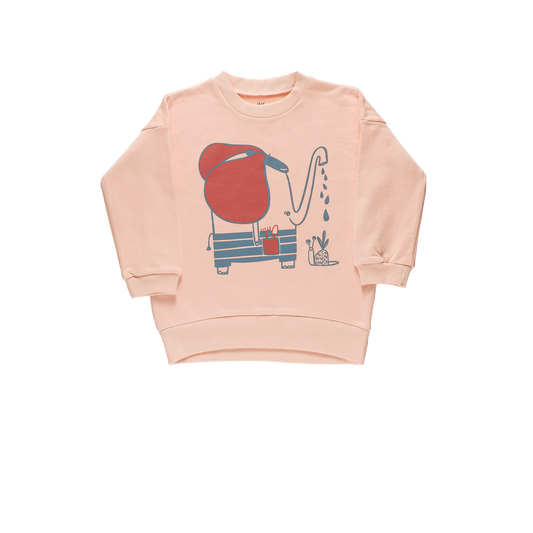 Grow Sweatshirt - Salmon